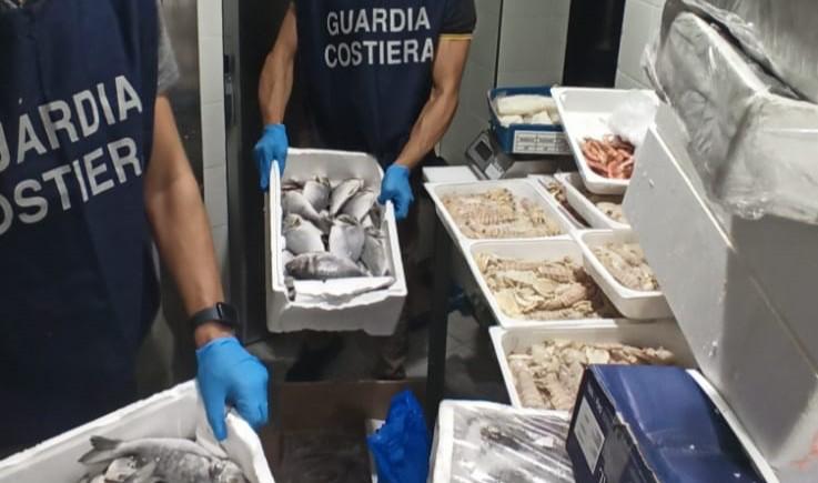 La Capitaniera di Porto di Monfalcone e Grado sequestra 200 chili di pesce